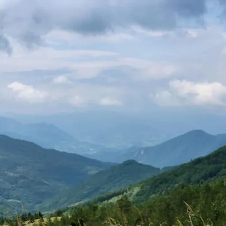 Jordan Kc 9c 35 Κοπαόνικ