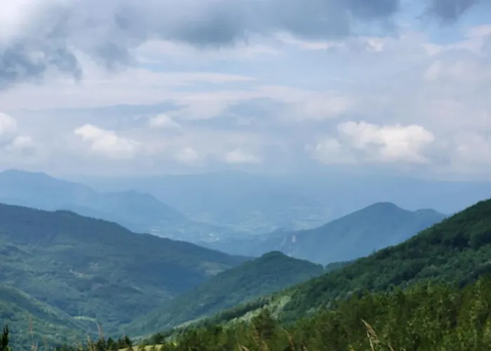 Jordan Kc 9c 35 コパオニク